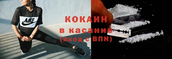 эйфоретик Арсеньев