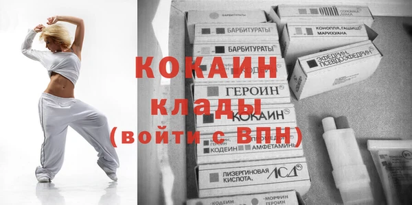 прущие грибы Армянск