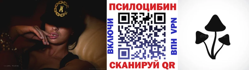 Псилоцибиновые грибы мицелий  дарк нет официальный сайт  Бор 